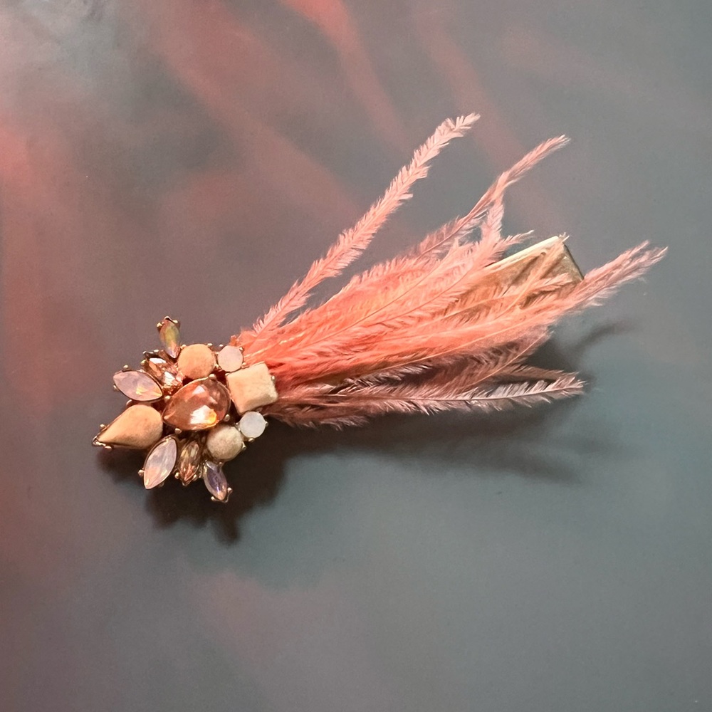 Elegant Feather and Gem Hair Clip